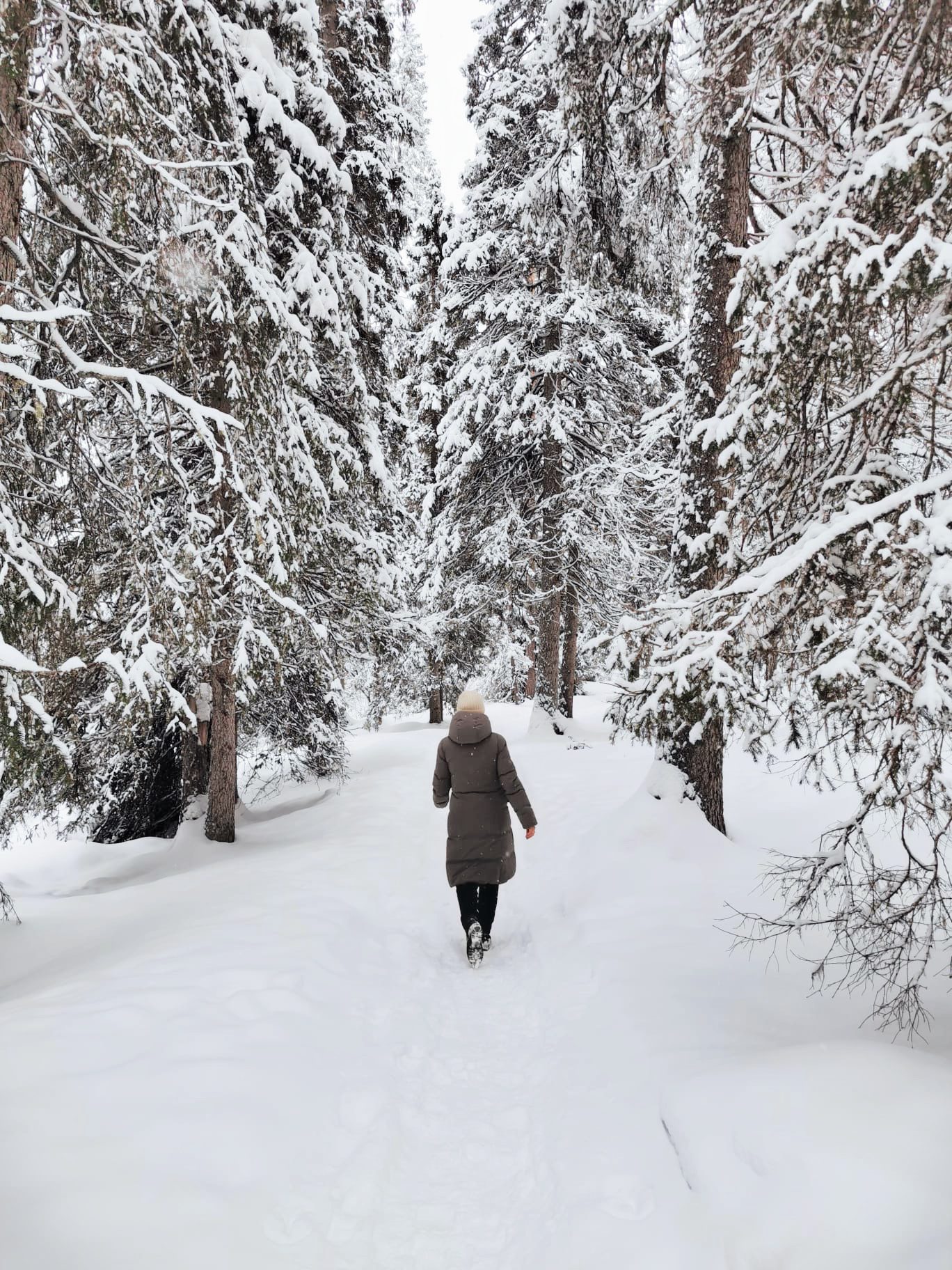 Oulanka_Kuusamo_Finland_hungrytravelfamily_002