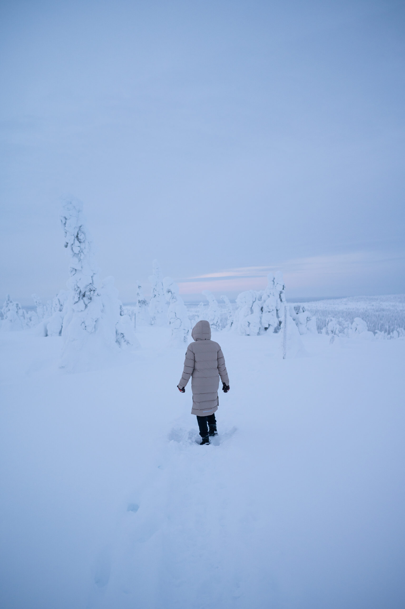 Kuusamo_Riisitunturi_Finland_hungrytravelfamily_003