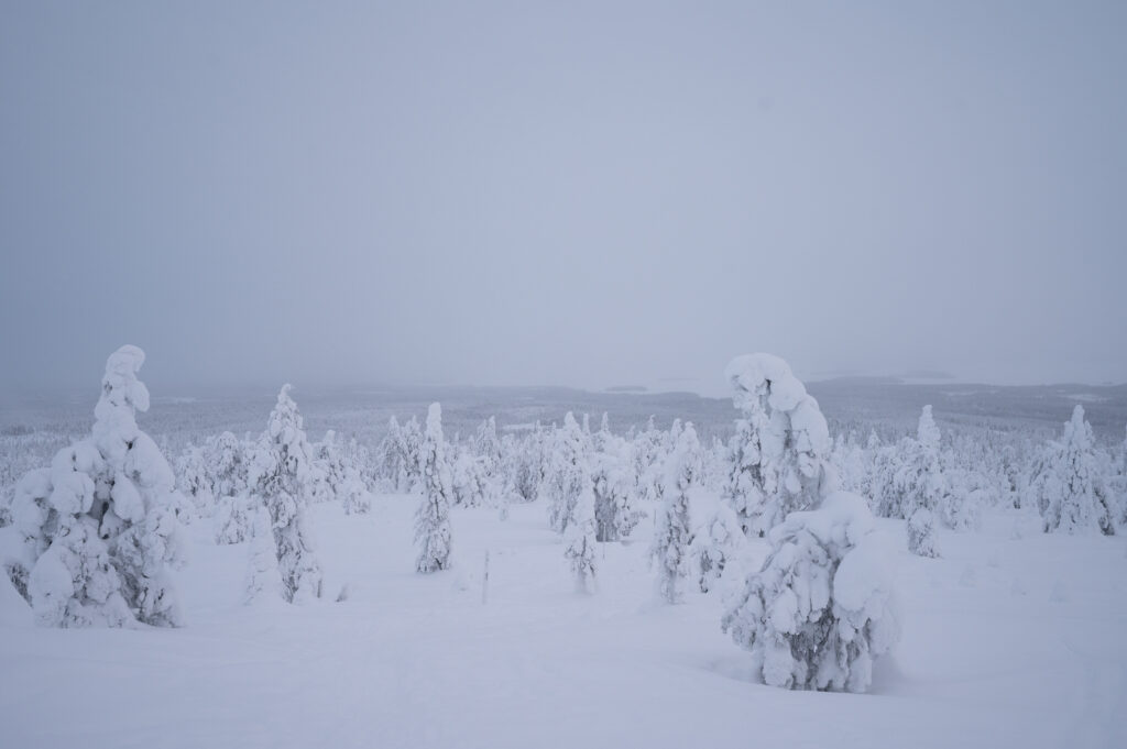 Kuusamo_Riisitunturi_Finland_hungrytravelfamily_001
