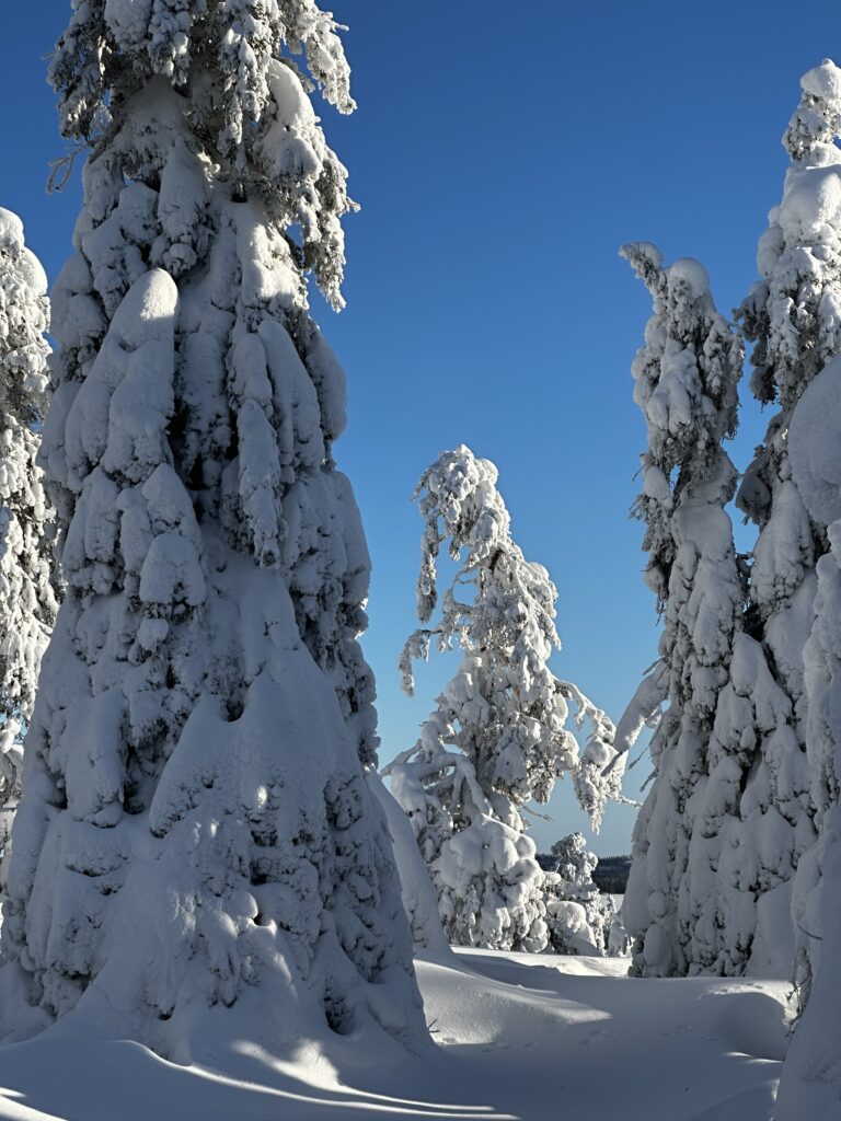 Kuusamo_Koillismaa_Finland_hungrytravelfamily_004