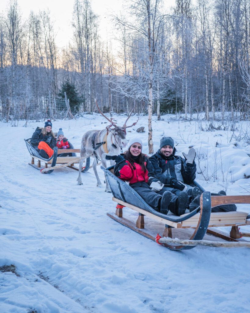 Reindeer Ride Rovaniemi Lapland Hungrytravelfamily