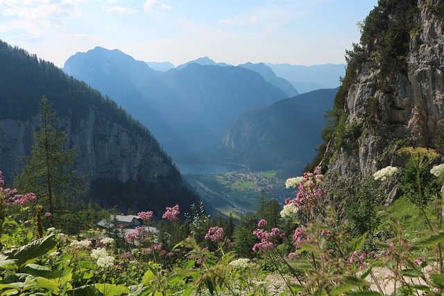 Alpine Hungrytravelfamily