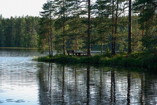 Lake Finland Hungrytravelfamily