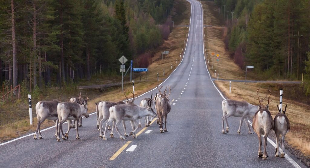 Summer road Arctic Lapland Finland Hungrytravelfamily Norway Sweden