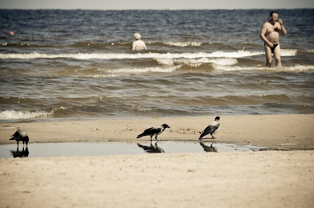 Jūrmala Beach Hungrytravelfamily