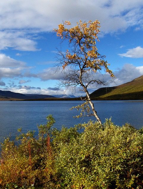 Kilpisjärvi Hungrytravelfamily