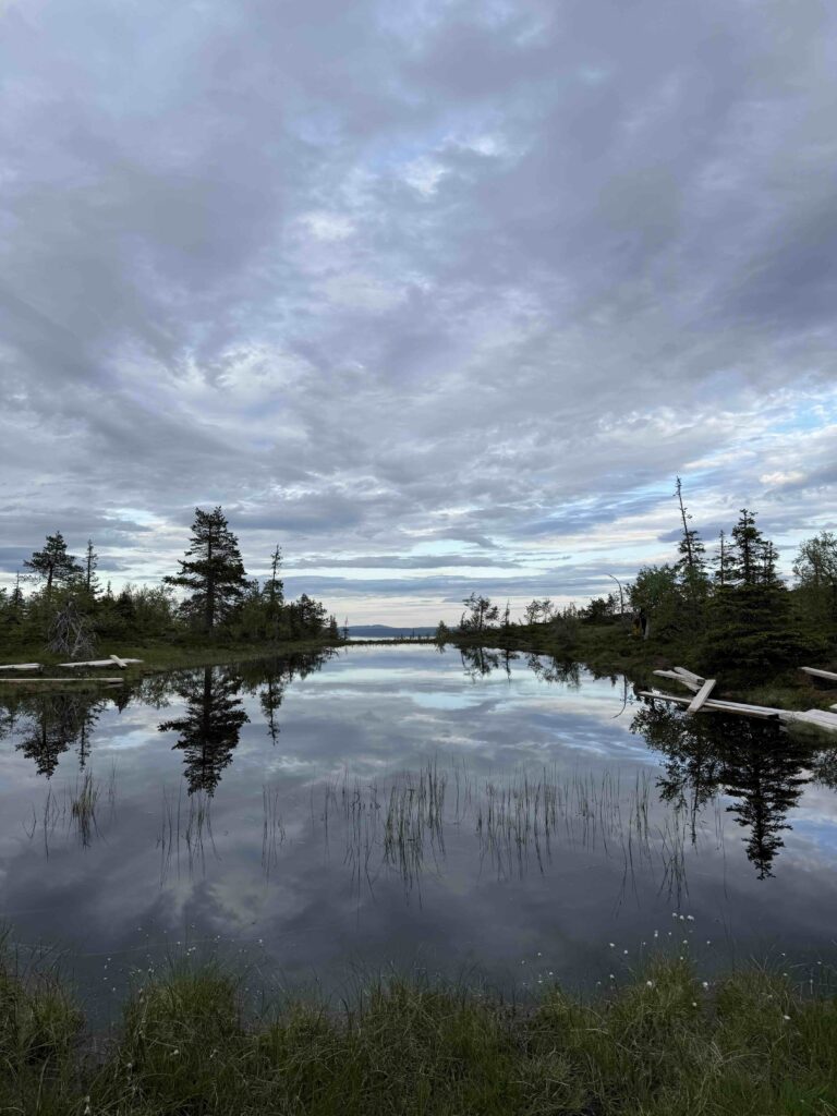 Finland swamp hungrytravelfamily
