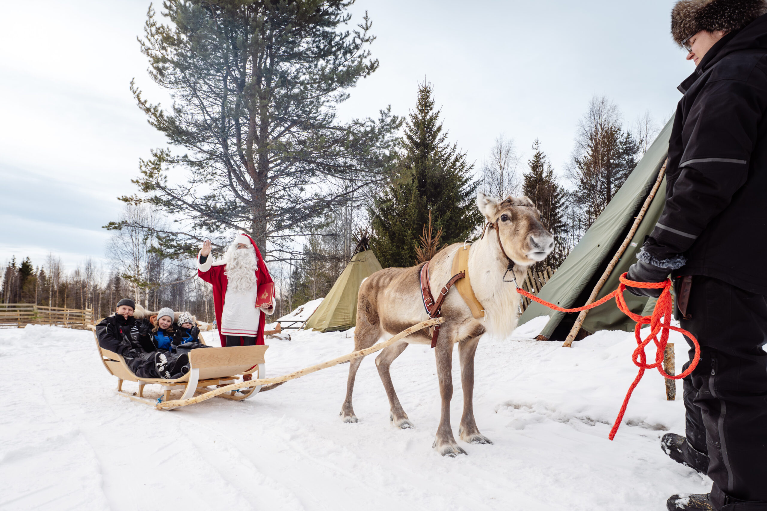 Traditional Sauna or Private Sauna & Ice Swimming in Rovaniemi — Rovaniemi, Lapland