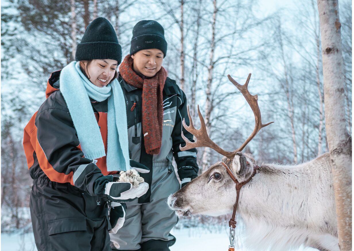 Reindeer Sleigh Ride in Rovaniemi Lapland Hungrytravelfamily