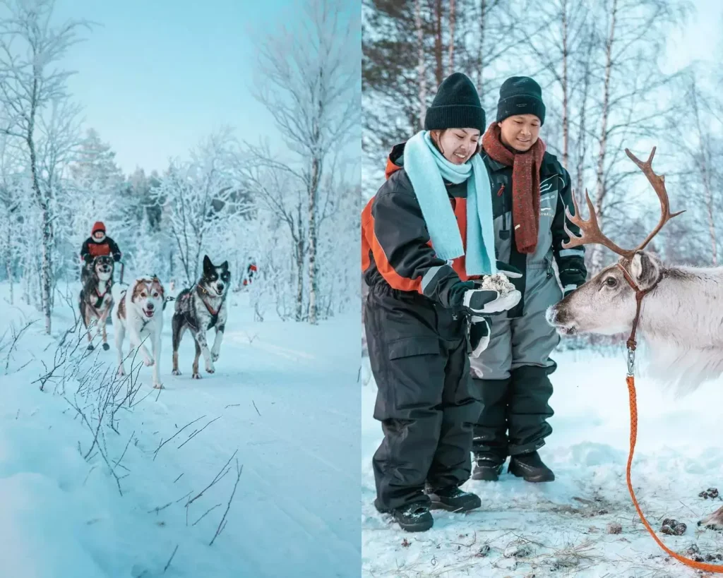 Husky and Reindeer tour in Rovaniemi Lapland Finland hungrytravelfamily