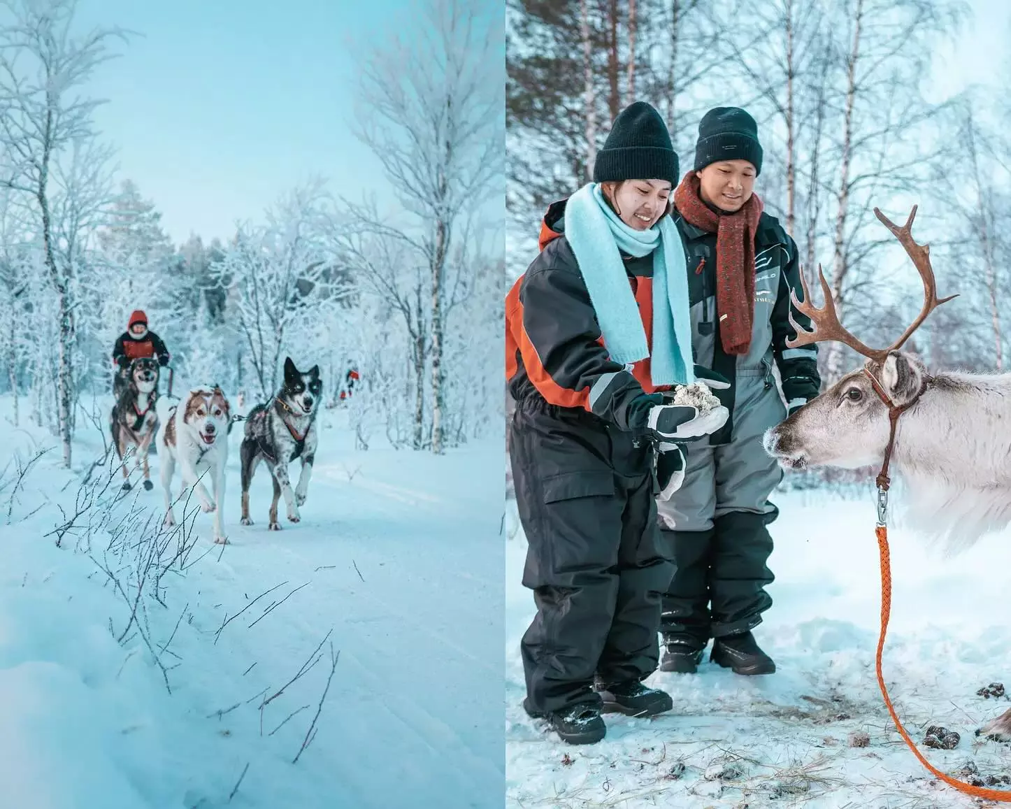 Husky and Reindeer tour in Rovaniemi Lapland Finland hungrytravelfamily