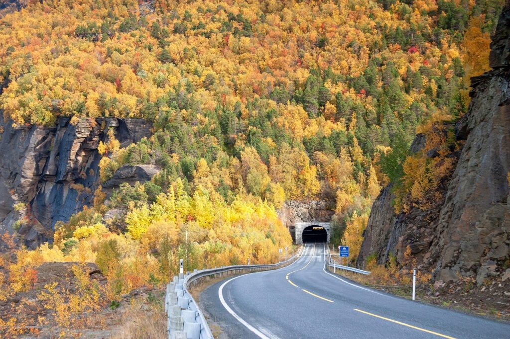 Why Road Trips Are the Best Way to Explore Scandinavia Hungrytravelfamily