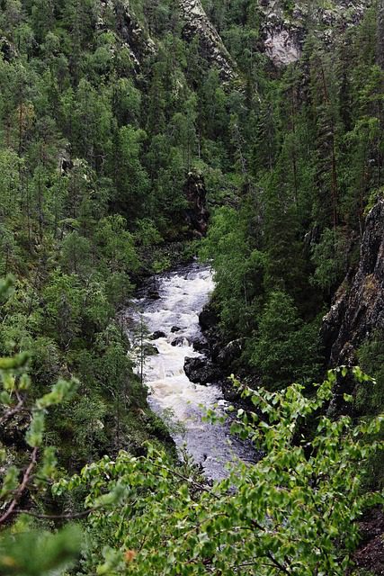 Finland national park hungrytravelfamily