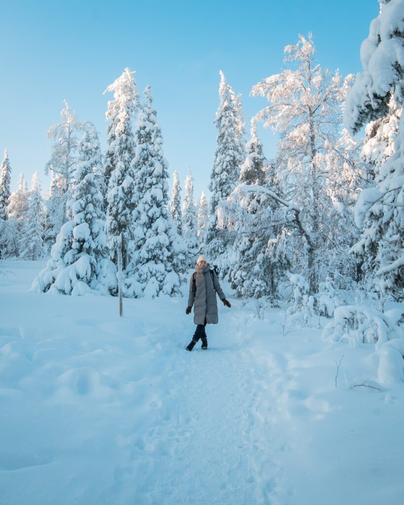Riisitunturi Posio Lapland Finland HungryTravelFamily