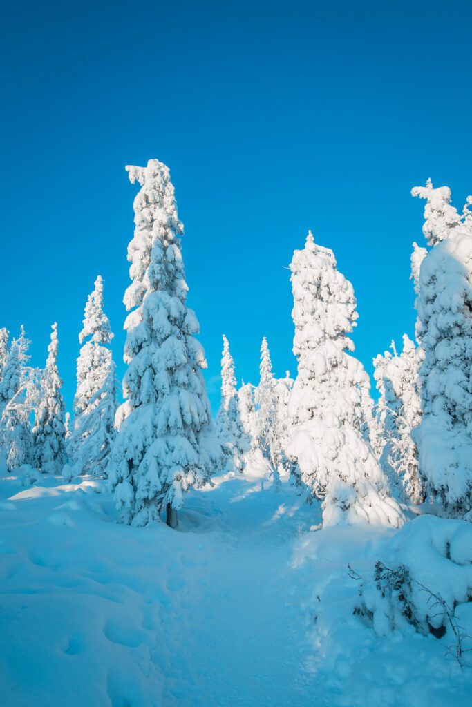 Riisitunturi Posio Lapland Finland HungryTravelFamily