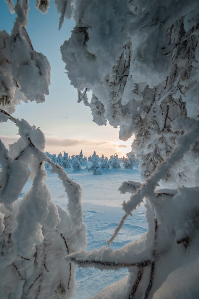 Riisitunturi Posio Lapland Finland HungryTravelFamily