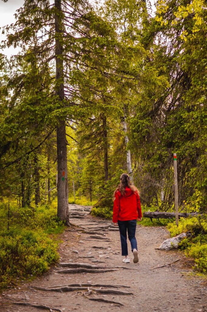Riisitunturi summer Posio Lapland Finland HungryTravelFamily