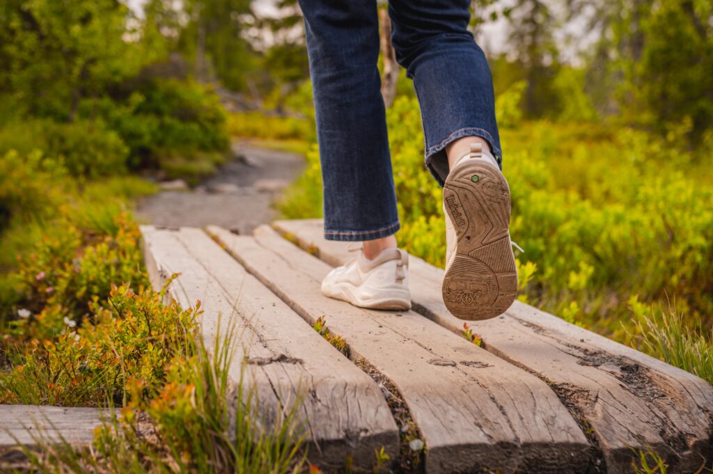 Riisitunturi summer Posio Lapland Finland HungryTravelFamily