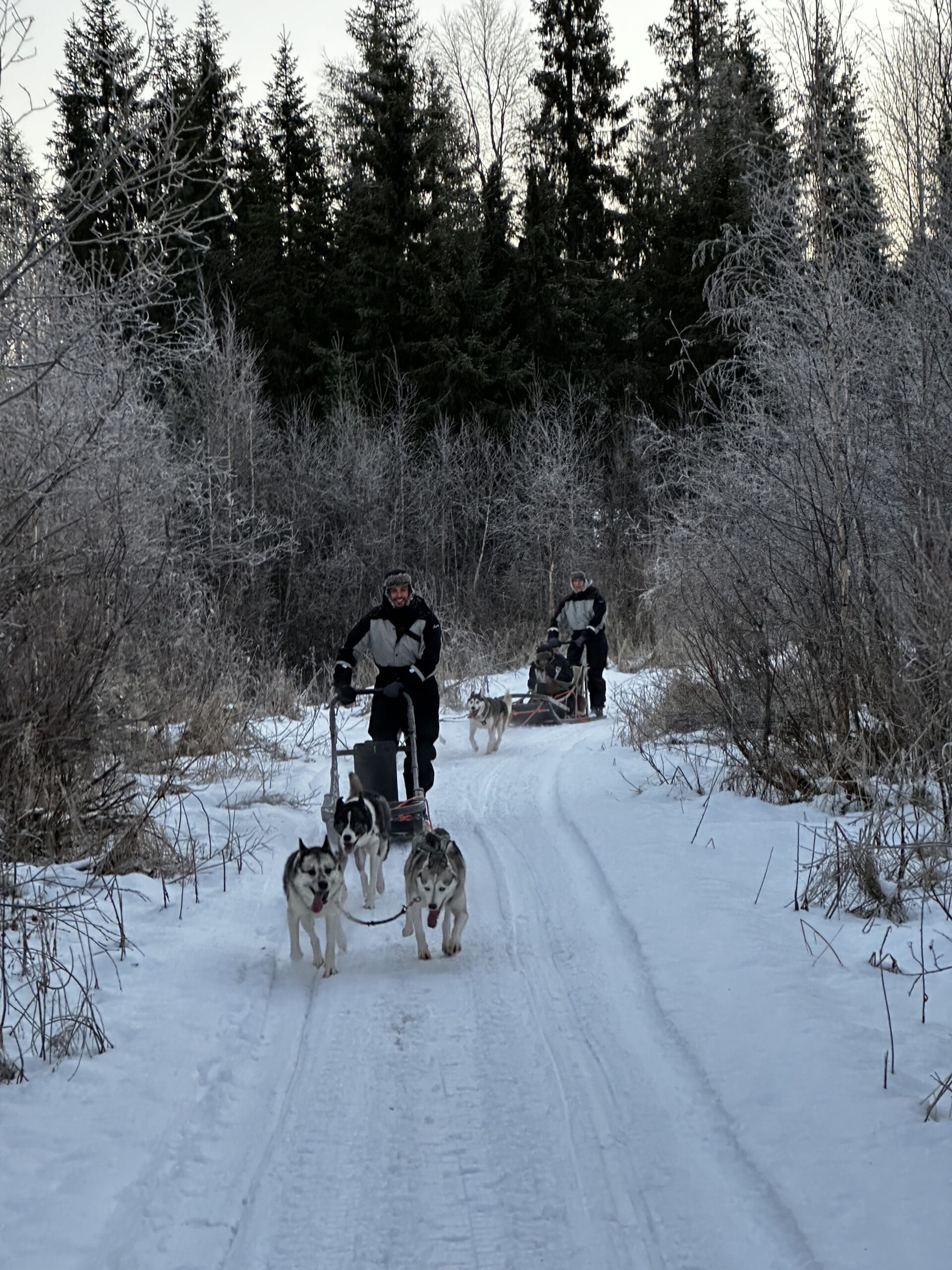 Who Should Skip the Arctic Paws 2 km Husky Ride at Lapland Winter Park — Rovaniemi, Lapland