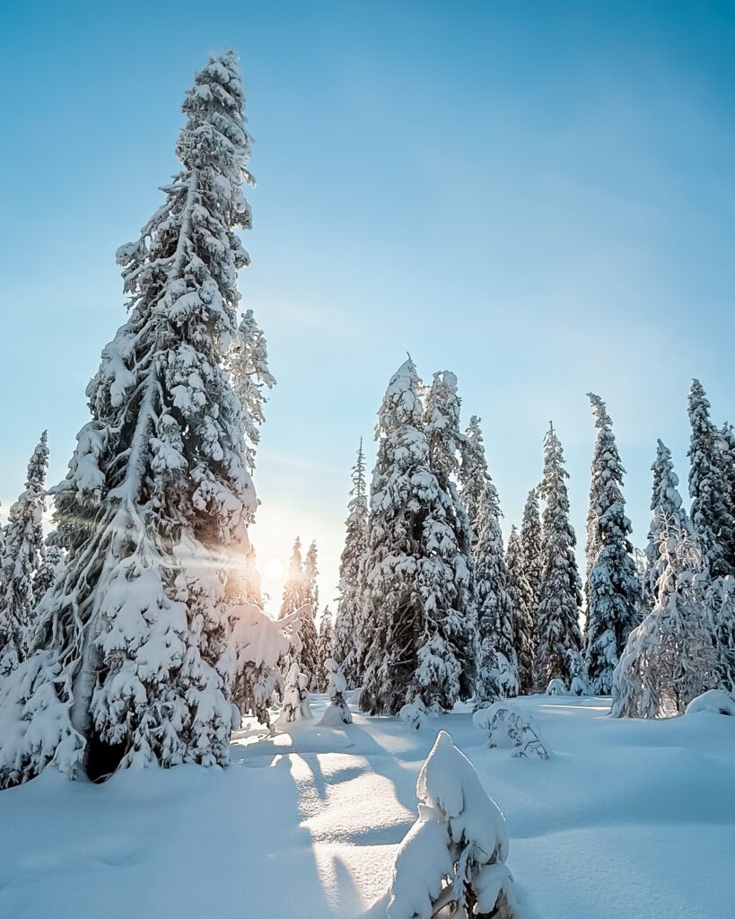 Riisitunturi Posio Lapland Finland HungryTravelFamily
