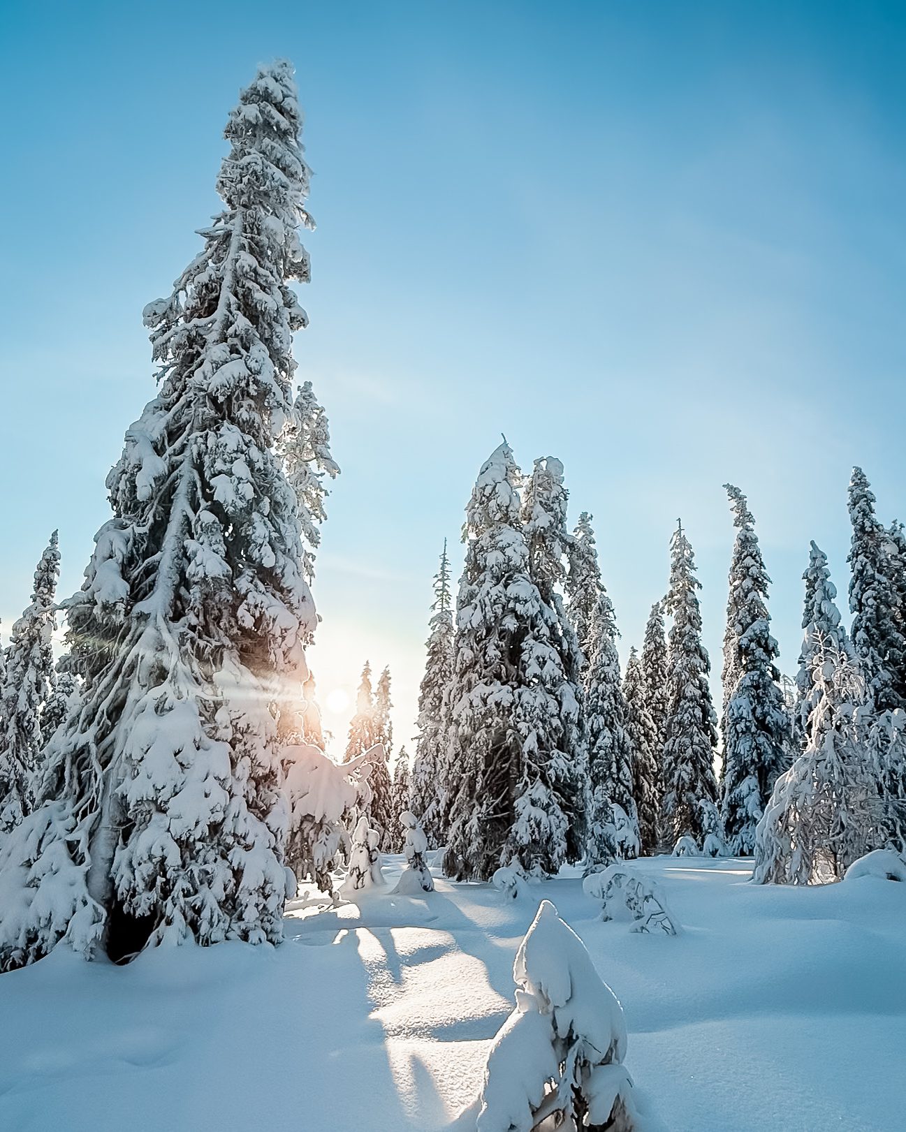 Riisitunturi Posio Lapland Finland HungryTravelFamily