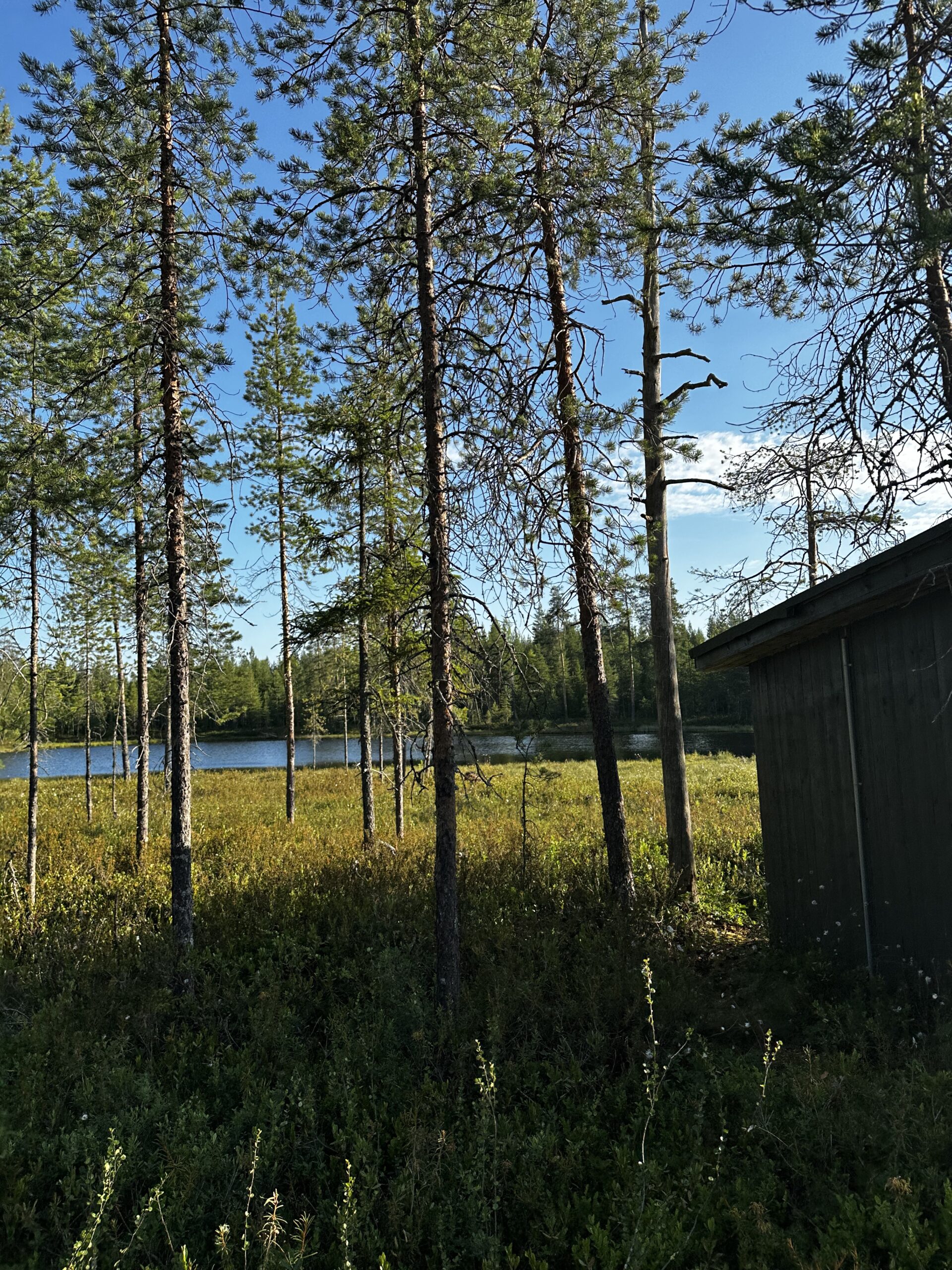 Lohnt sich der Tagesausflug zum Ranua Zoo ab Rovaniemi? — Rovaniemi, Lappland