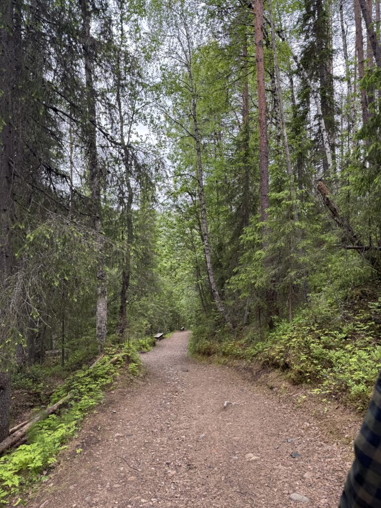 Korouoma canyon summer Posio Lapland Finland HungryTravelFamily