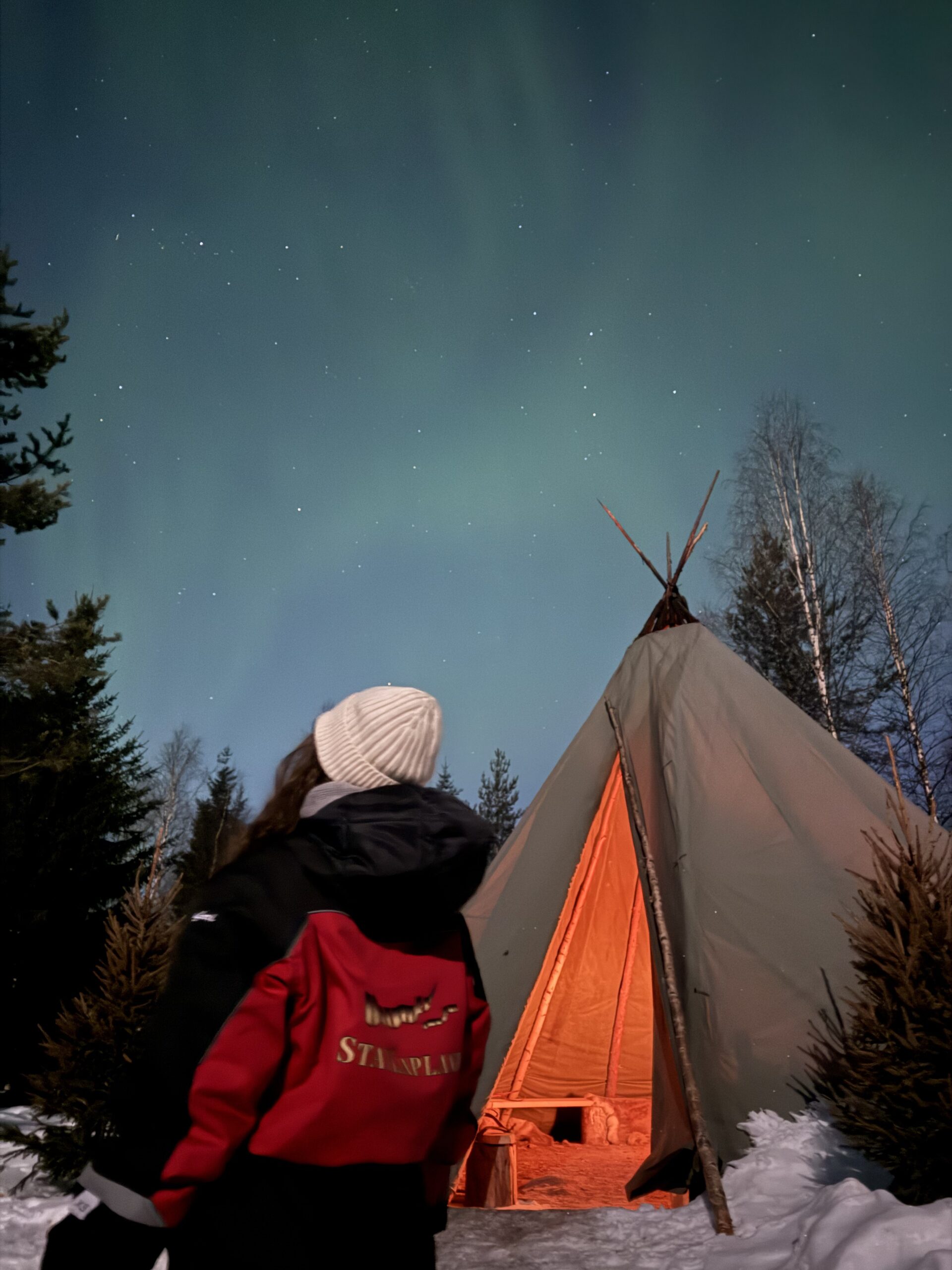 Northern Lights Reindeer Safari Review — Rovaniemi, Lapland