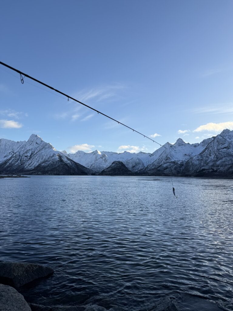 Lofoten Norway HungryTravelFamily