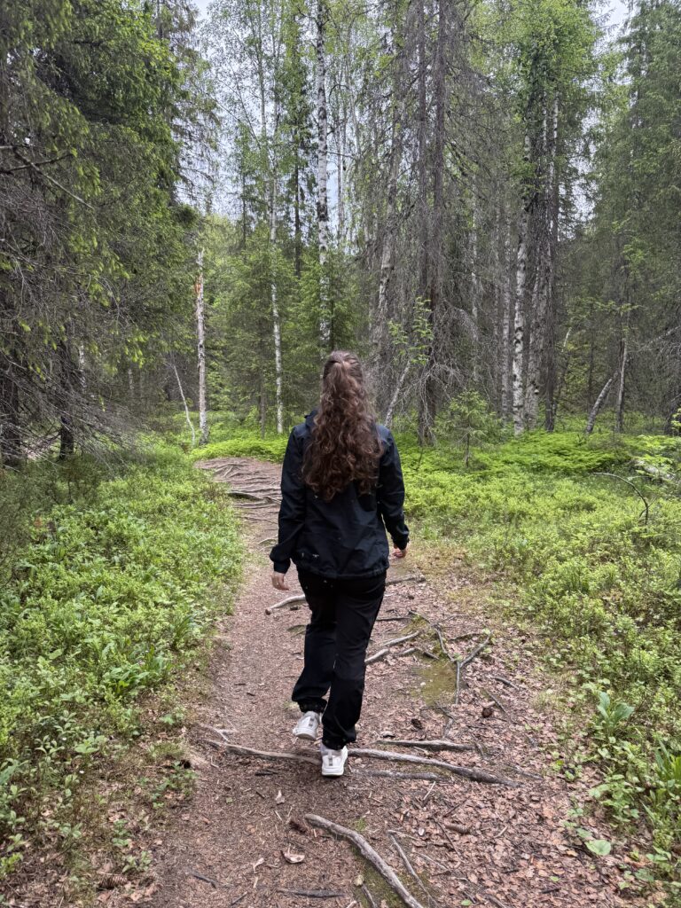 Hiking Retkeilyreitti Posio Finland HungryTravelFamily 8486