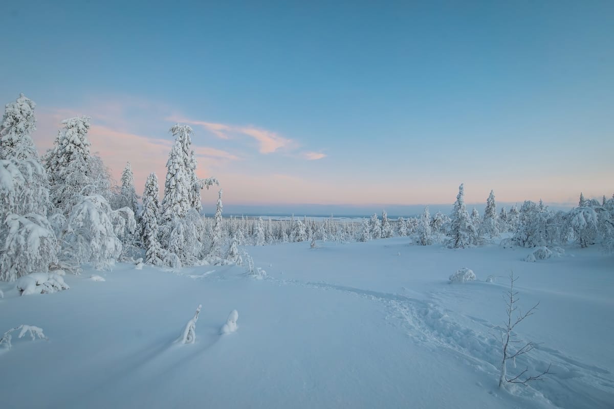 Arctic Calm in Riisitunturi — art print by Joona Heinonen