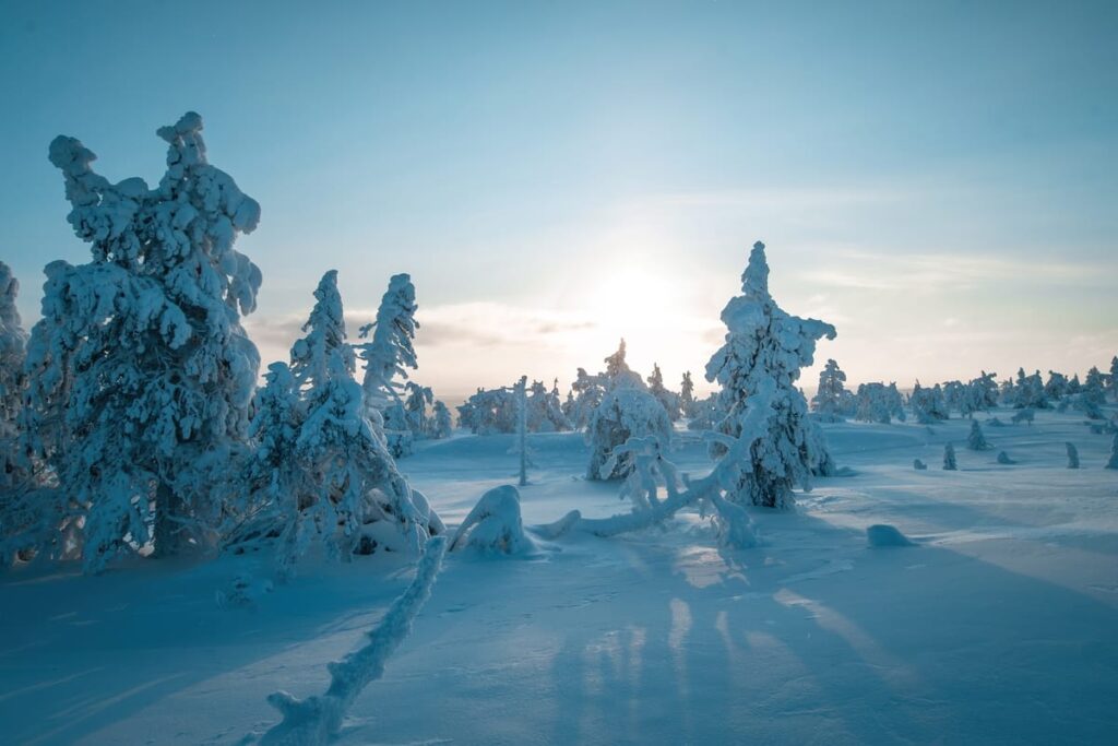 Winter Wonderland, Riisitunturi — fine art print by Joona Heinonen, Hungry Travel Family
