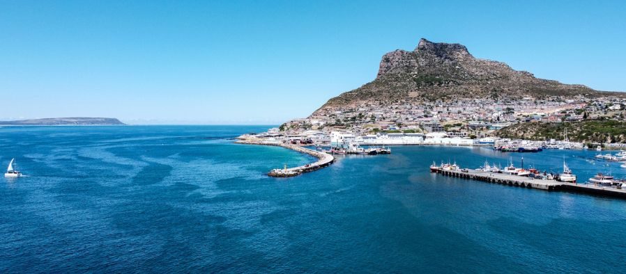 Foto dalla pagina dell'1 Hour Harbour Secrets Kayak Tour di Cape Town Kayaks.