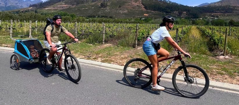 Photo issue de la page du Franschhoek Family Tour de Bikes 'n Wines.