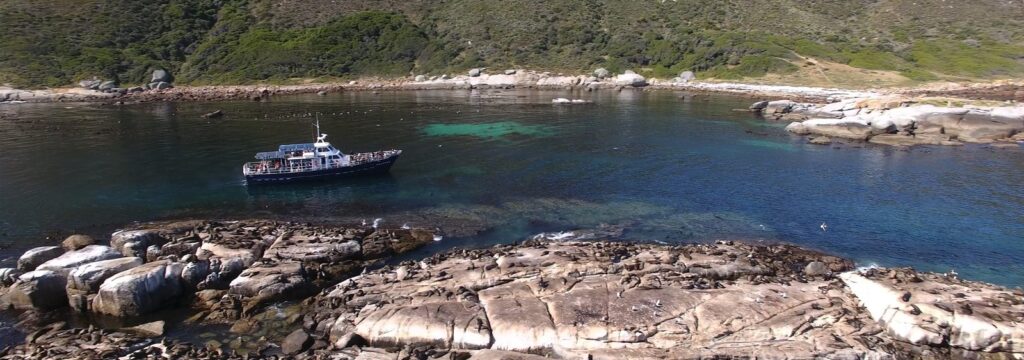 Seal Island Boat Trip and Kayak Combo with Cape Town Kayaks, Hout Bay, South Africa