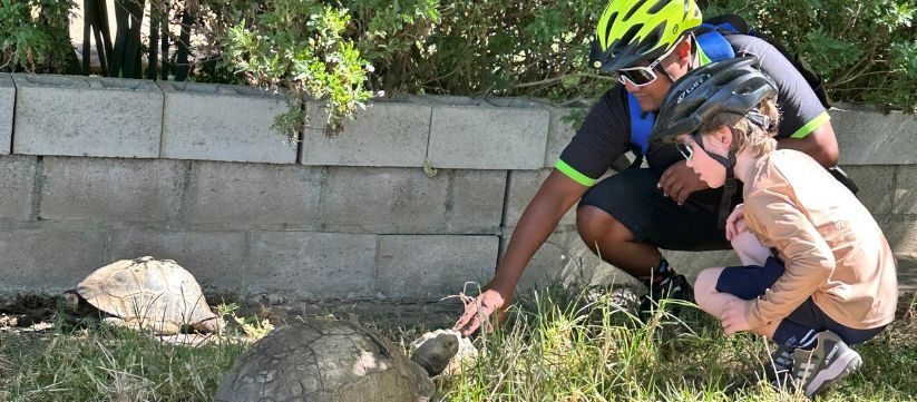 Un guía y un joven ciclista se detienen junto al viñedo en el Stellenbosch Family Tour — foto de Bikes 'n Wines.
