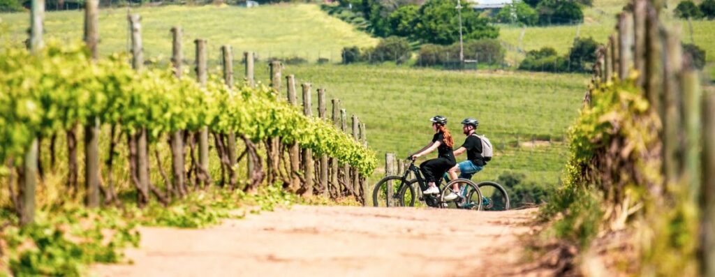 Stellenbosch Luxury Winelands EBike Tour with Bikes 'n Wines, Stellenbosch, South Africa