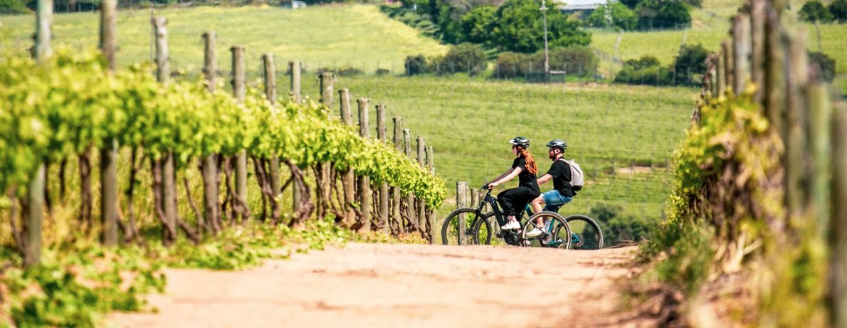 Photo from Bikes 'n Wines' Stellenbosch Luxury Winelands EBike Tour