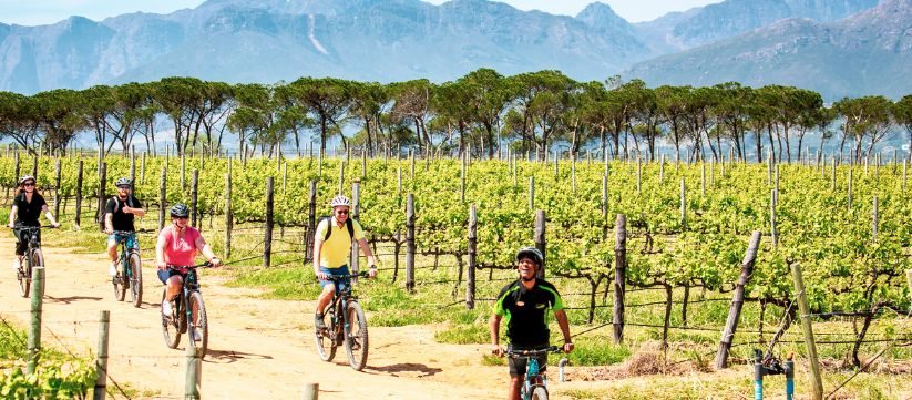 Stellenbosch Luxury Winelands EBike Tour with Bikes 'n Wines, Stellenbosch, South Africa