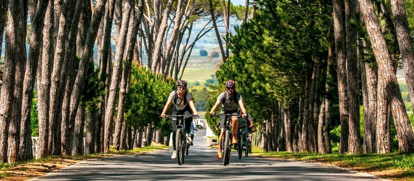 Riders on the tree-lined farm roads of the Stellenbosch e-bike route — the whole day is spent outside rather than in a vehicle.