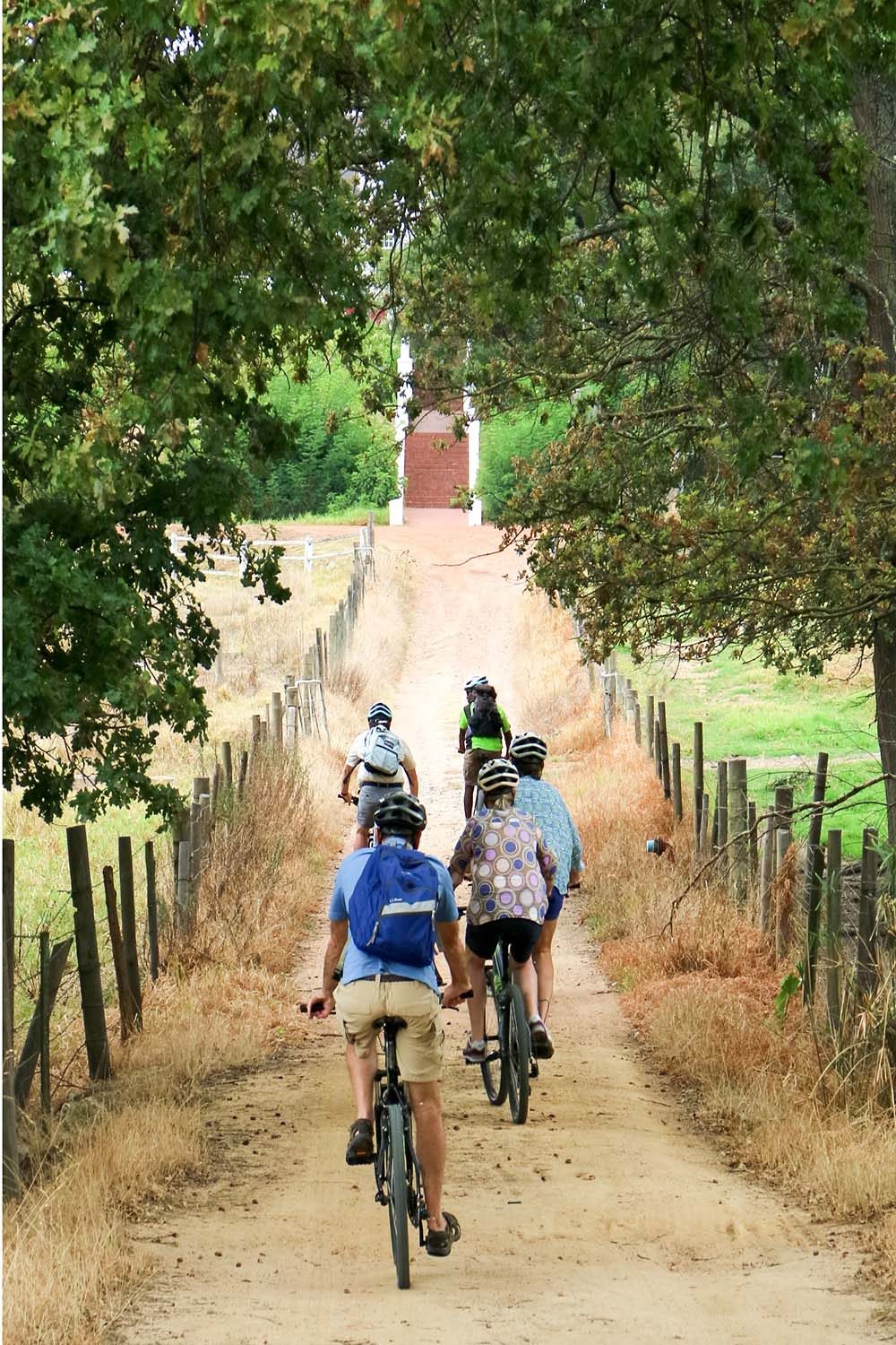 Photo from Bikes 'n Wines' Stellenbosch Luxury Winelands EBike Tour