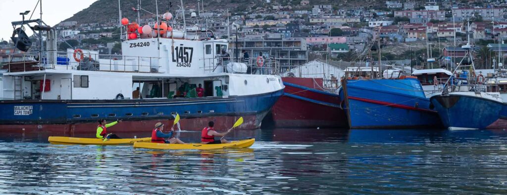 Sunrise Kayak Adventure with Cape Town Kayaks, Hout Bay, South Africa