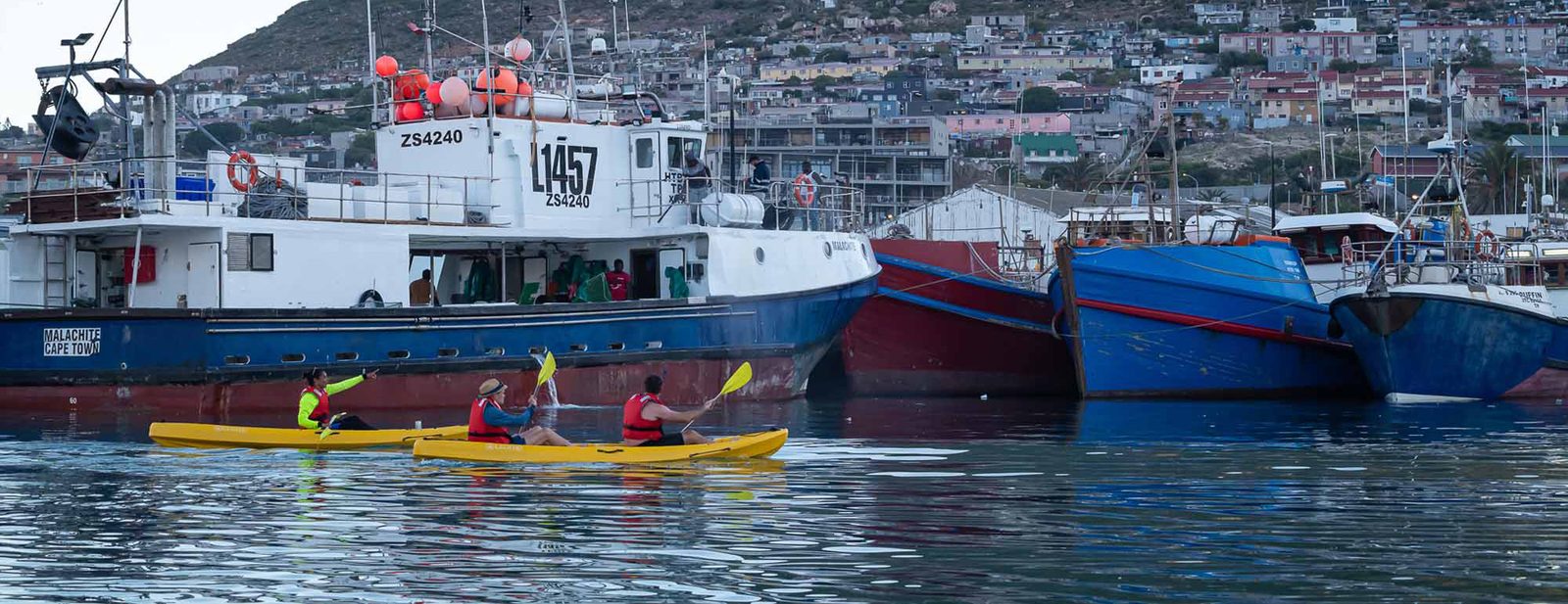 Foto dalla pagina del Sunrise Kayak Adventure di Cape Town Kayaks.