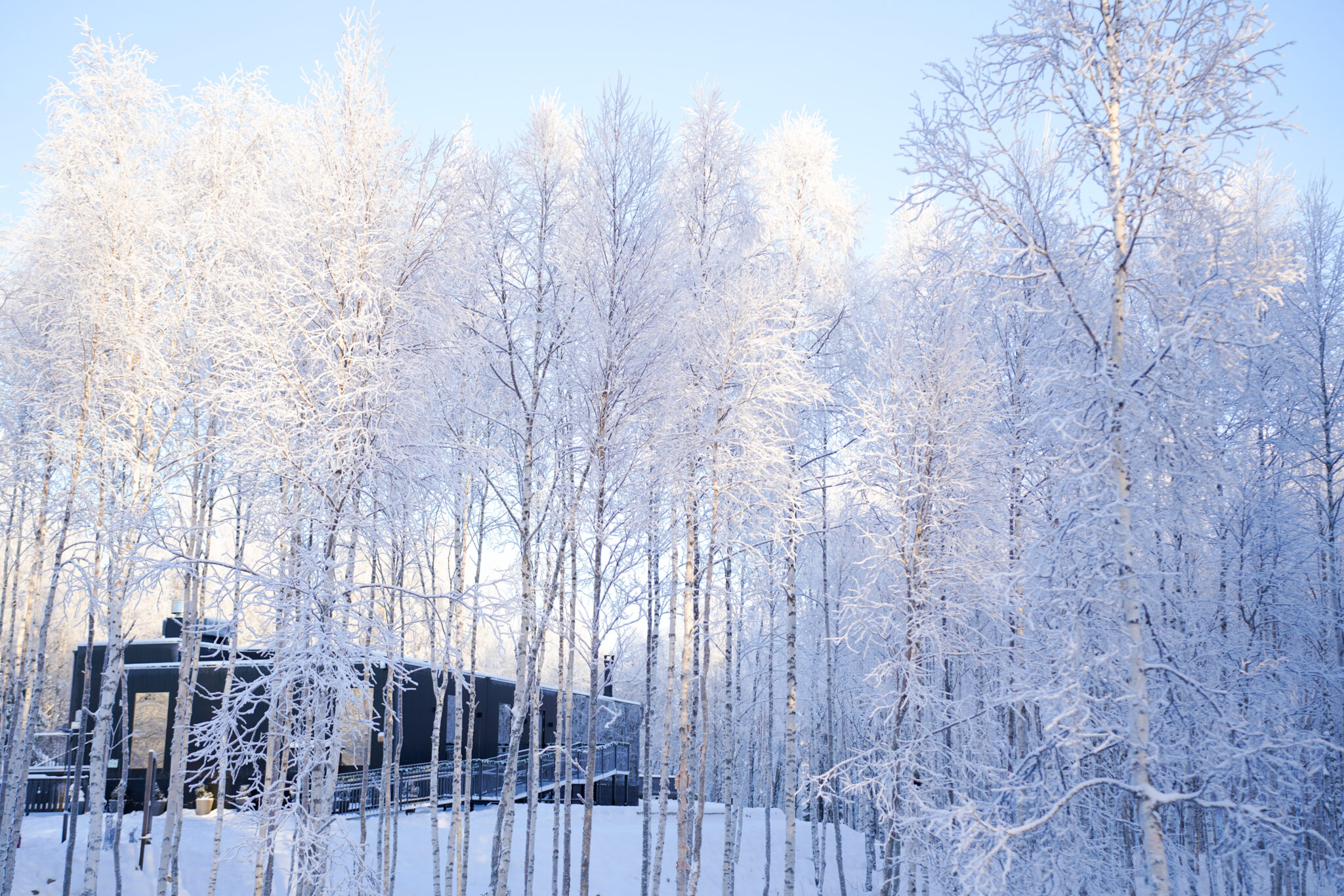 A winter cabin wedding in Lapland, styled by Rovaniemi Weddings: candlelight against the dark outside.