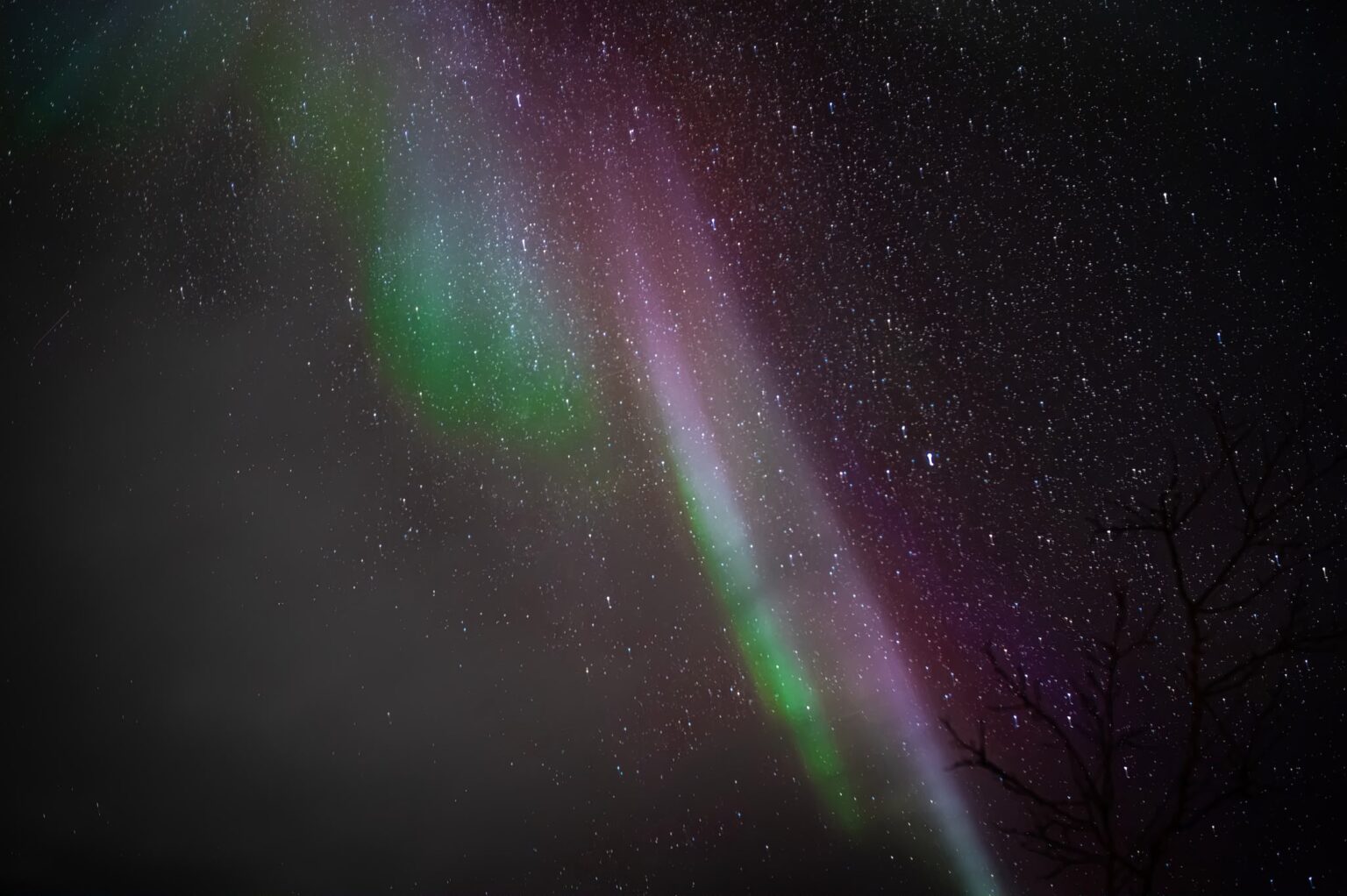 Yes Under the Aurora