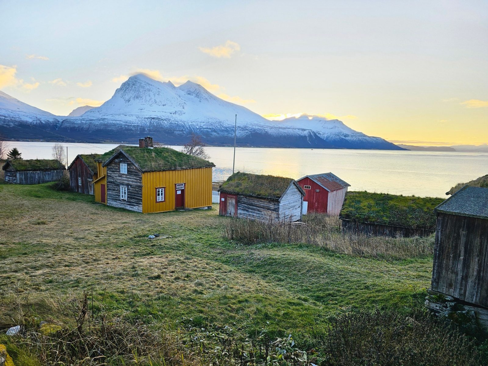 La giornata sui fiordi a Sommarøy è una serie di soste brevi ed esposte: vestiti per la spiaggia, non per l'auto.