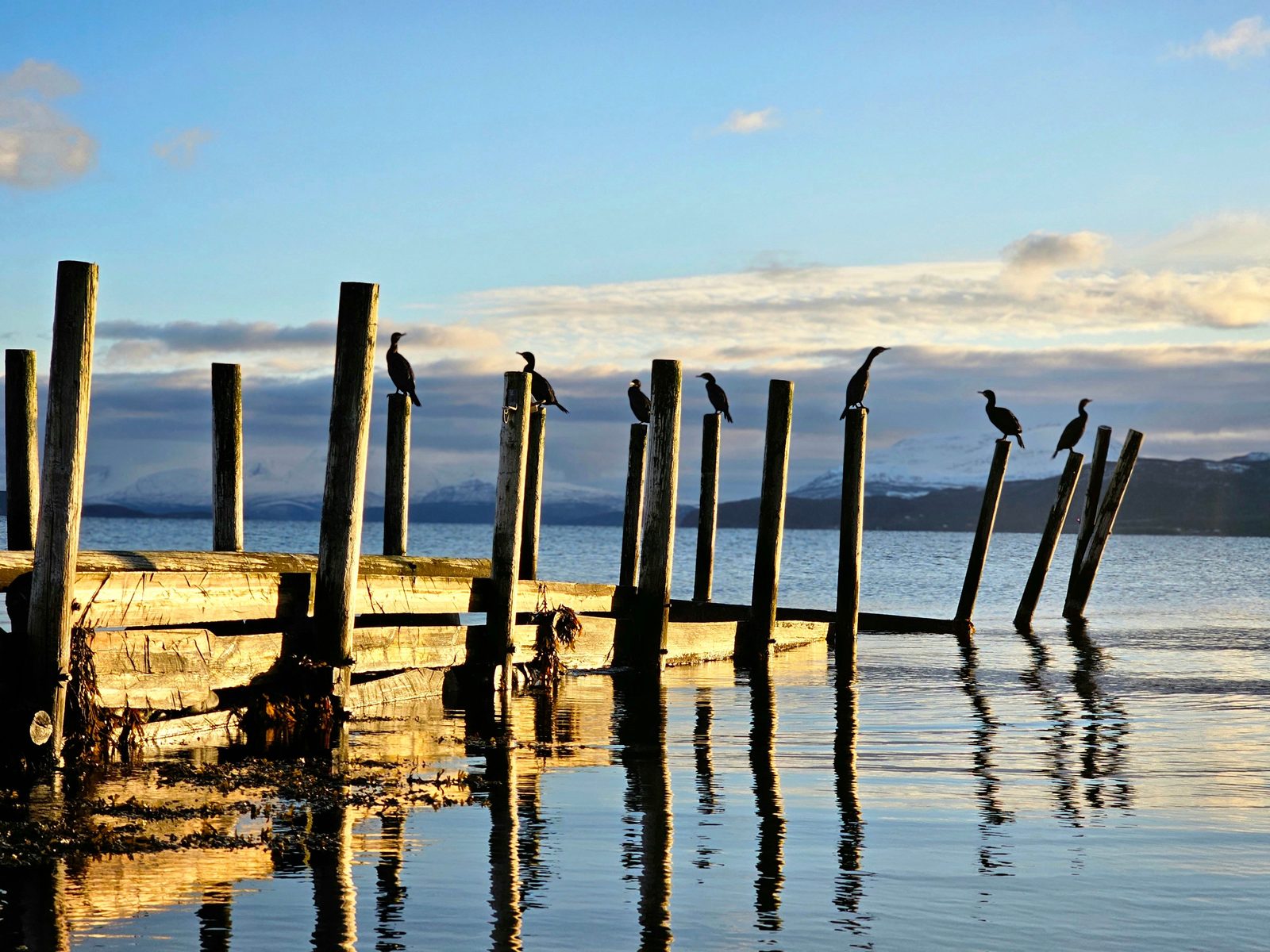 Photo from Legendary Adventure's Sommarøy & Kvaløya tour