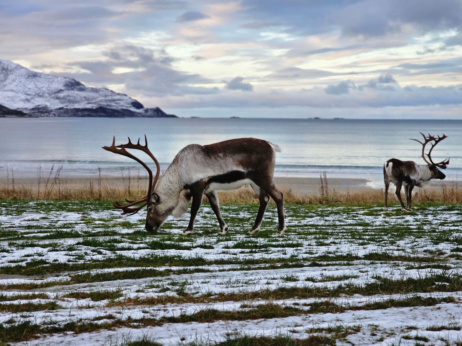 A scenic fjord stop near Tromsø. Photo from Legendary Adventure.